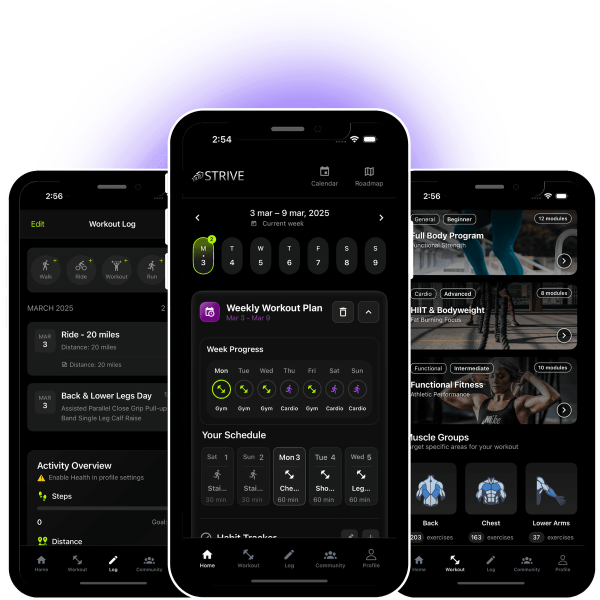 Strive App on iPhone